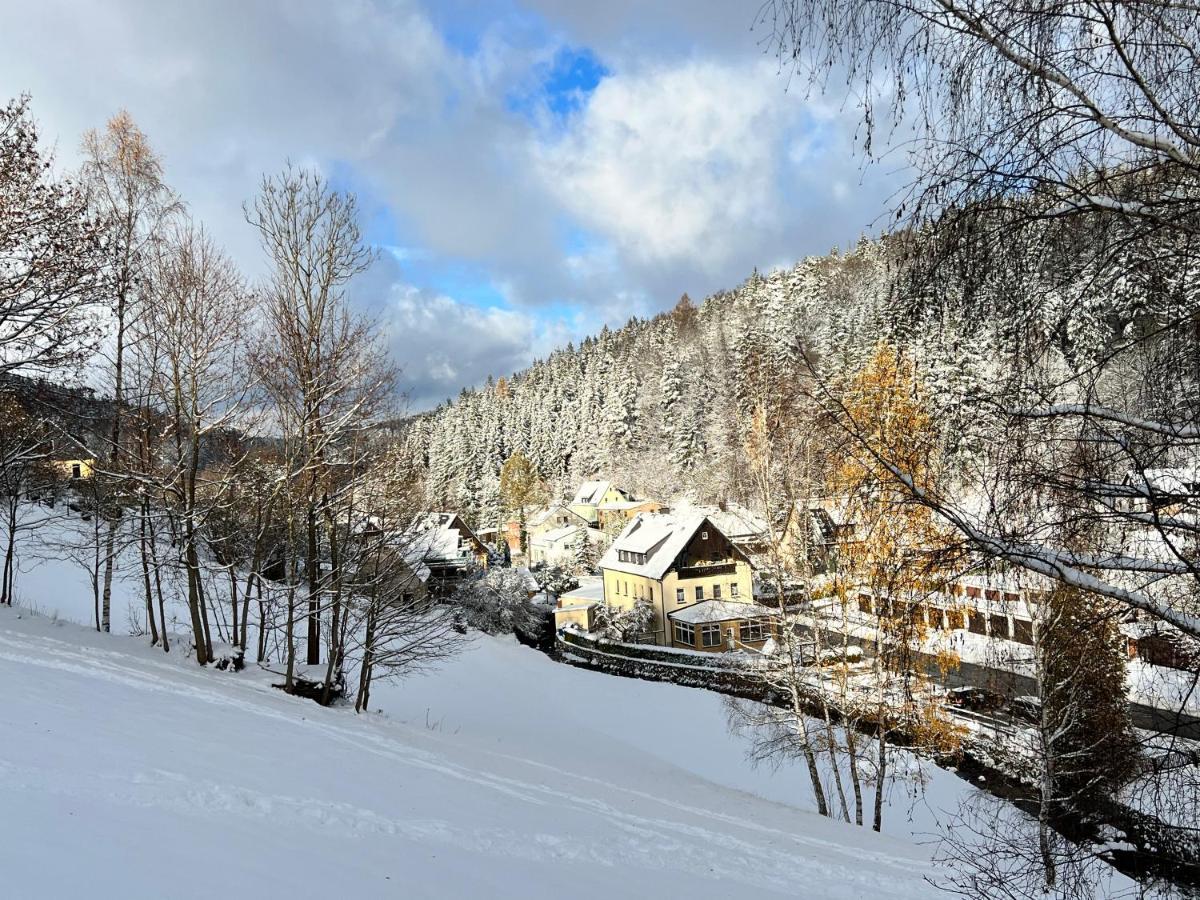 Urige Berghuette Mit Kamin Und Sauna Im Erzgebirge Nahe Schwarzwassertal Pobershau Extérieur photo