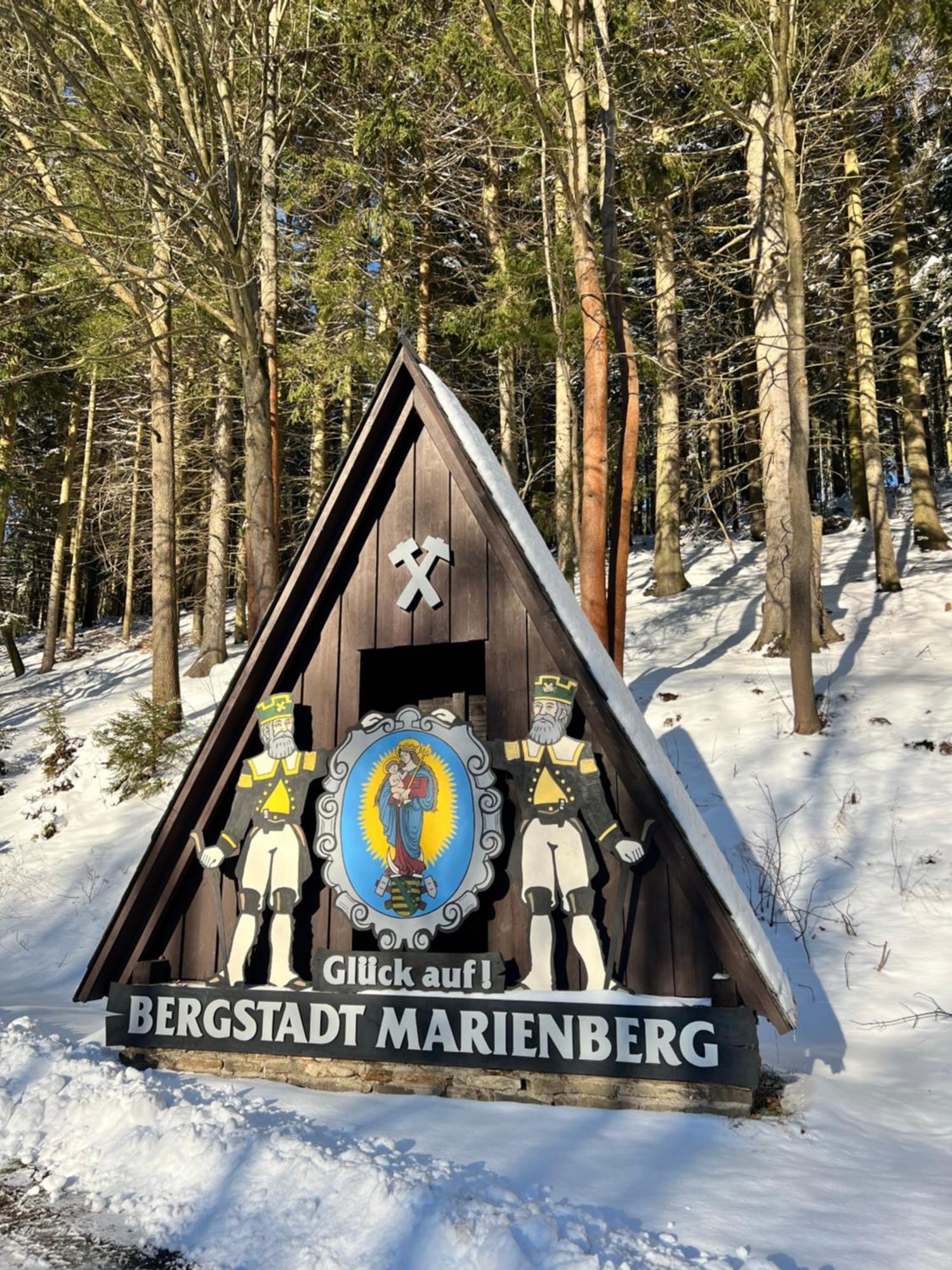 Urige Berghuette Mit Kamin Und Sauna Im Erzgebirge Nahe Schwarzwassertal Pobershau Extérieur photo