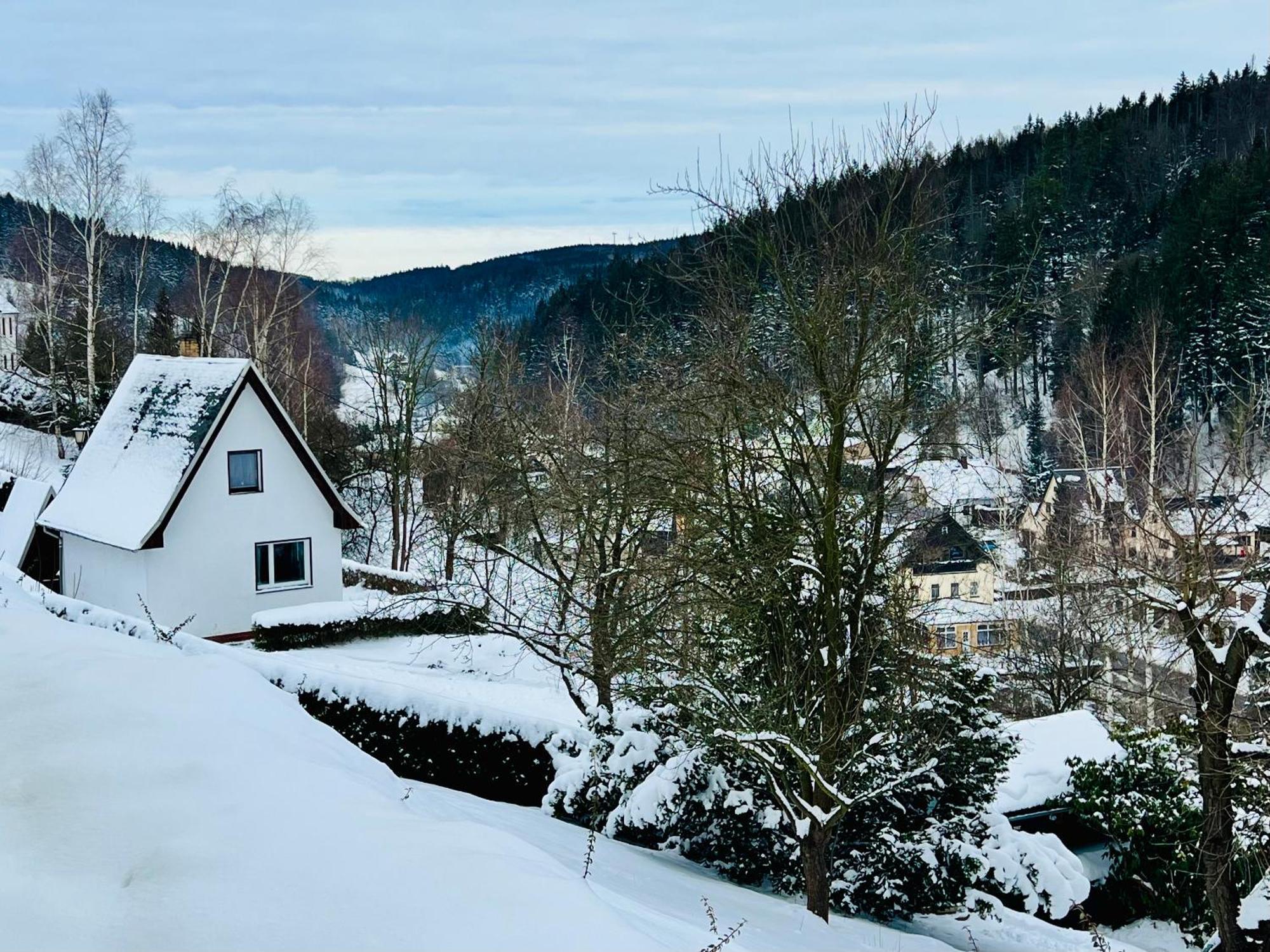 Urige Berghuette Mit Kamin Und Sauna Im Erzgebirge Nahe Schwarzwassertal Pobershau Extérieur photo
